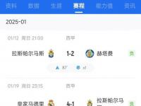 开云体育app-22岁身价1亿欧29岁时仅剩200万欧上赛季意甲仅出场9分钟还染红