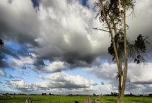 挪威战胜白俄罗斯，实现反弹