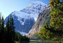 泰山一人被视为比王钰栋强!却遭崔康熙排挤 赛季0出场