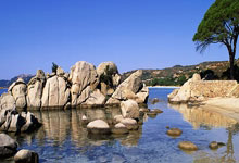 泰山一人被视为比王钰栋强!却遭崔康熙排挤 赛季0出场