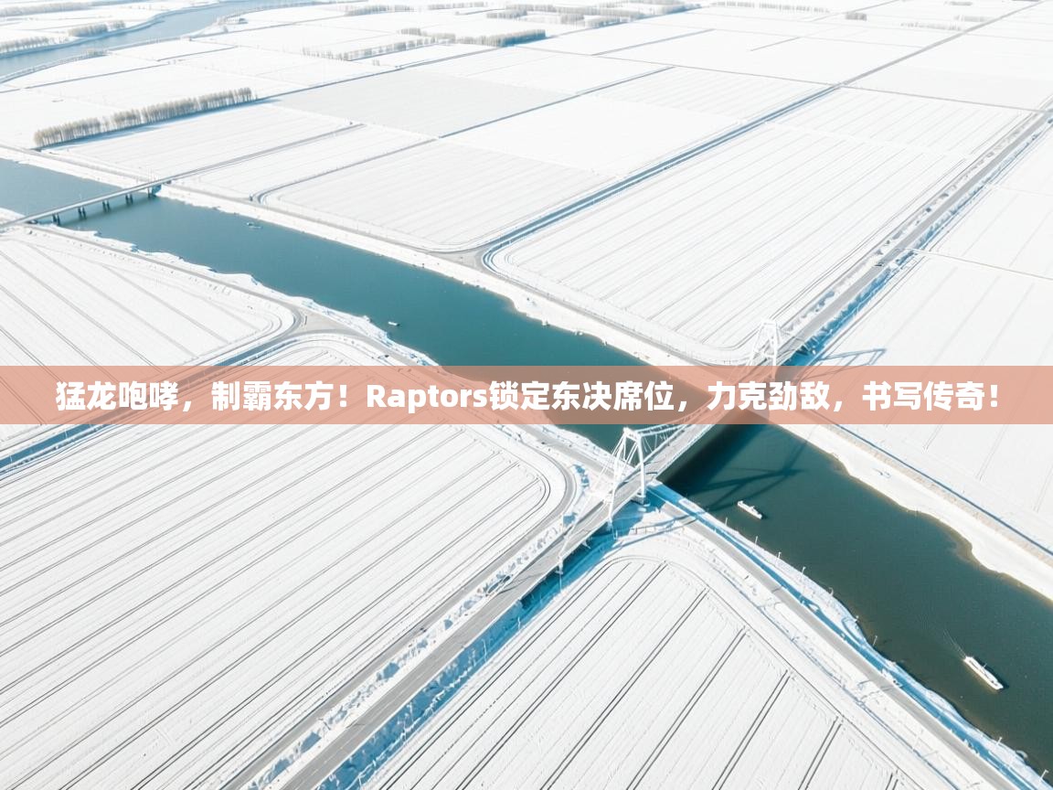 猛龙咆哮，制霸东方！Raptors锁定东决席位，力克劲敌，书写传奇！  第2张