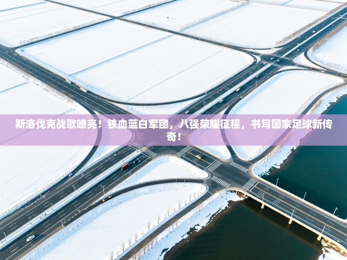 斯洛伐克战歌嘹亮！铁血蓝白军团，八强荣耀征程，书写国家足球新传奇！  第2张