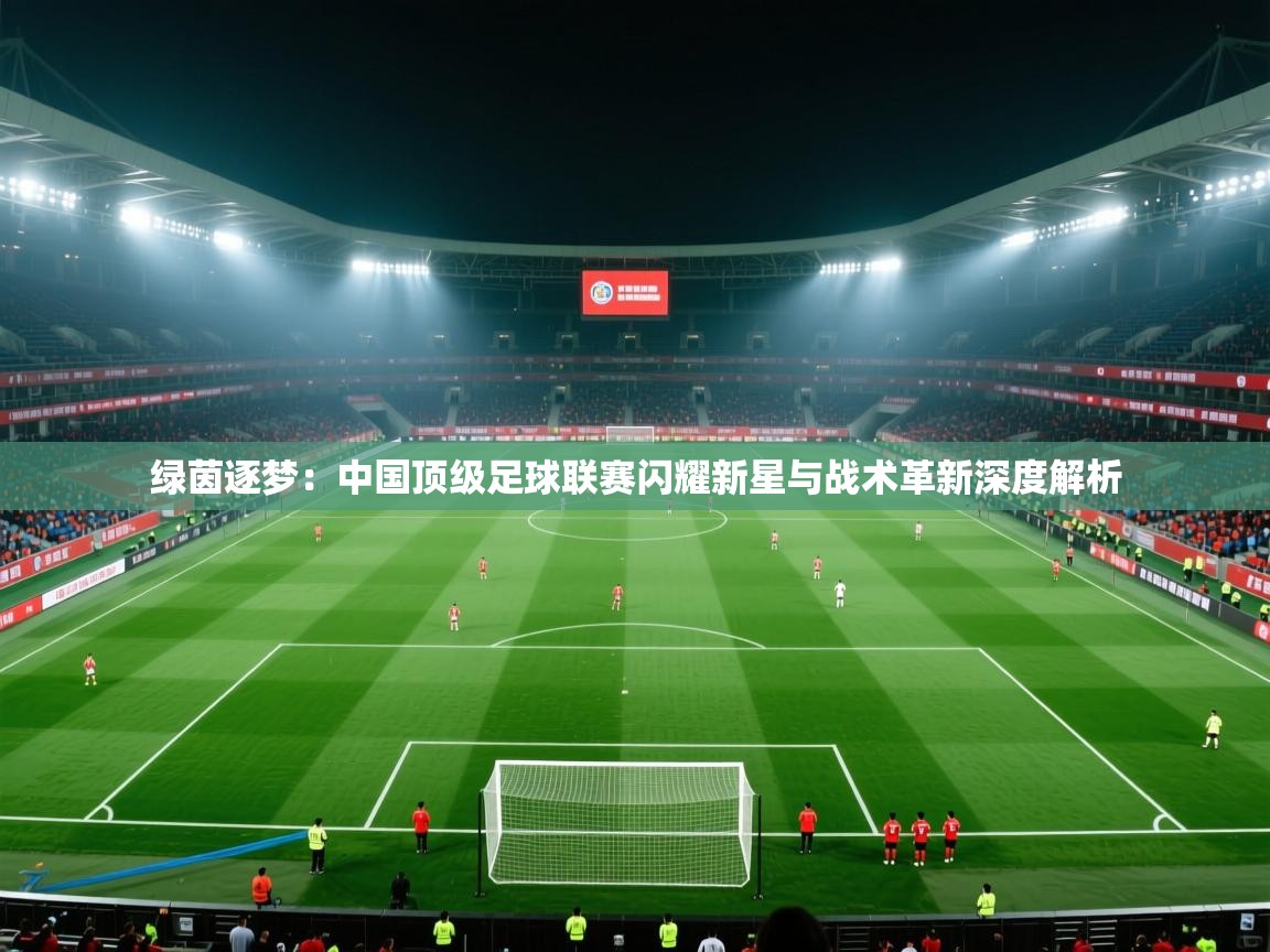 绿茵逐梦：中国顶级足球联赛闪耀新星与战术革新深度解析  第2张