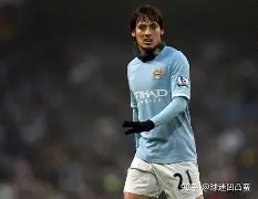 包含15年前的今天大卫-席尔瓦加盟曼城，效力10年斩获14冠的词条