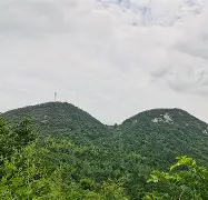 大洋洲小队疯狂征途:南太永霖八甸涌团结