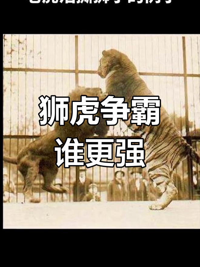 强强争斗胜负难定绝地反击获胜的可能性极高